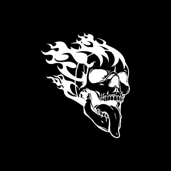 Calavera Flamas Calcomanias - Imagen 4