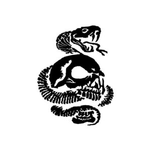 Calcomanías Calavera Serpiente